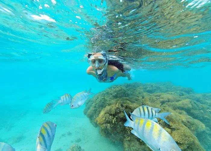 Apê 2: Pé na Areia Maragogi - O Caribe Brasileiro Apartamento